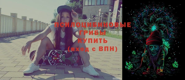 МДПВ Алексеевка