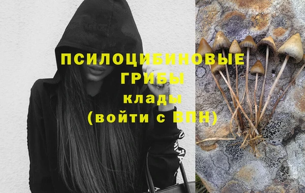 МДПВ Алексеевка
