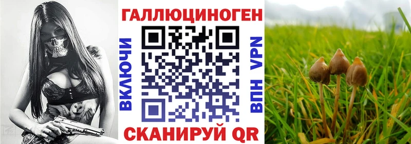 Галлюциногенные грибы MAGIC MUSHROOMS  купить наркотики сайты  Старый Оскол 
